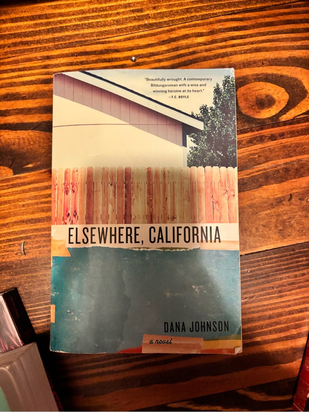 Elsewhere, California by Dana Johnson #california #novel